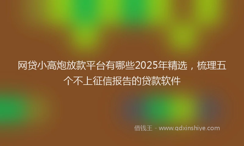 网贷小高炮放款平台有哪些2025年精选，梳理五个不上征信报告的贷款软件