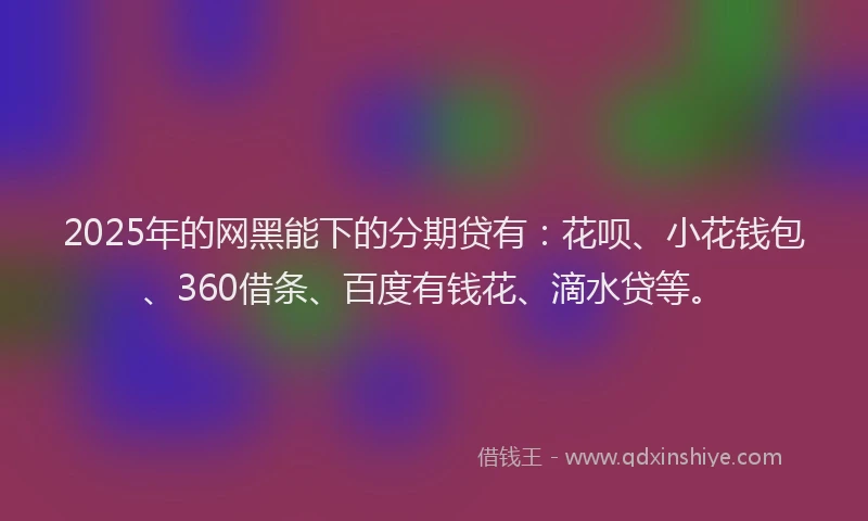 2025年的网黑能下的分期贷有：花呗、小花钱包、360借条、百度有钱花、滴水贷等。