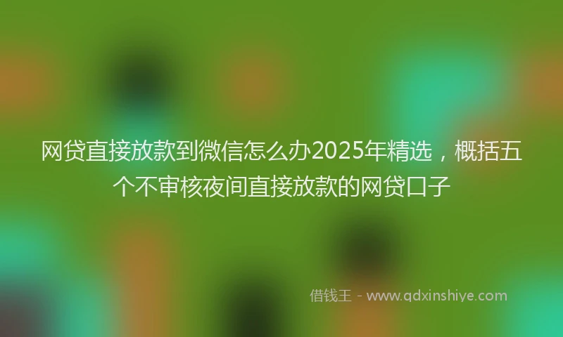 网贷直接放款到微信怎么办2025年精选，概括五个不审核夜间直接放款的网贷口子