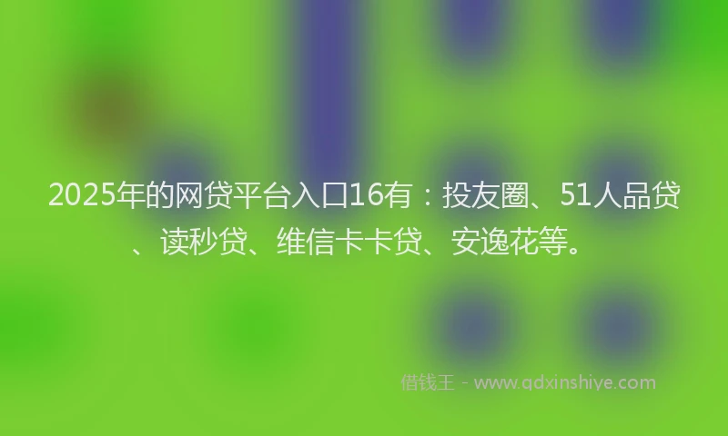 2025年的网贷平台入口16有：投友圈、51人品贷、读秒贷、维信卡卡贷、安逸花等。
