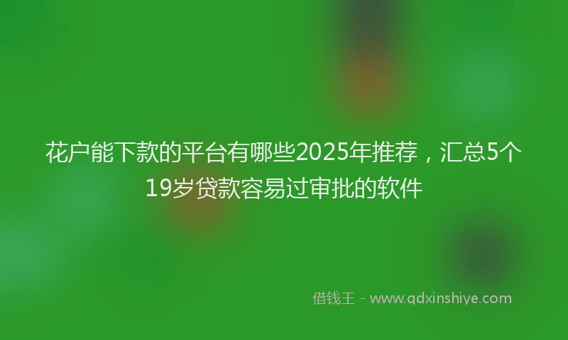 花户能下款的平台有哪些2025年推荐，汇总5个19岁贷款容易过审批的软件