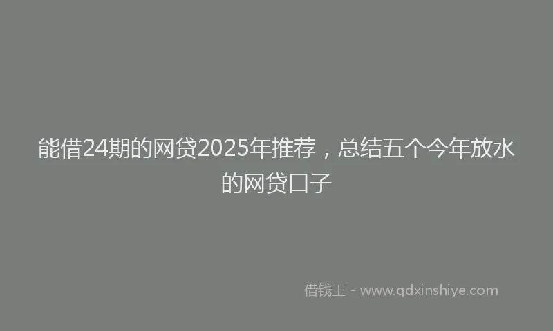 能借24期的网贷2025年推荐，总结五个今年放水的网贷口子