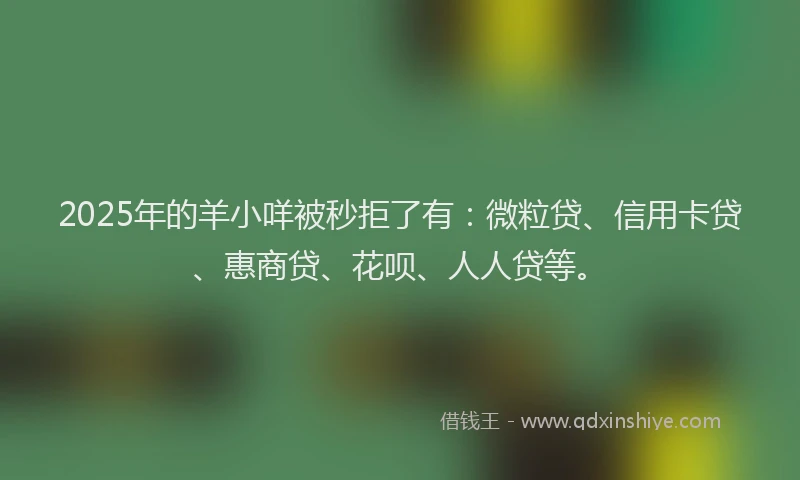 2025年的羊小咩被秒拒了有：微粒贷、信用卡贷、惠商贷、花呗、人人贷等。