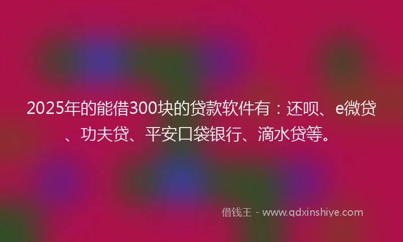 2025年的能借300块的贷款软件有：还呗、e微贷、功夫贷、平安口袋银行、滴水贷等。