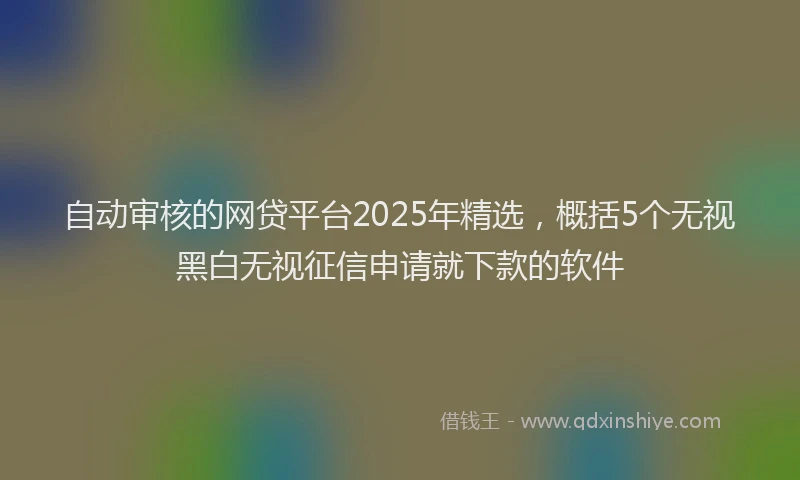 自动审核的网贷平台2025年精选，概括5个无视黑白无视征信申请就下款的软件