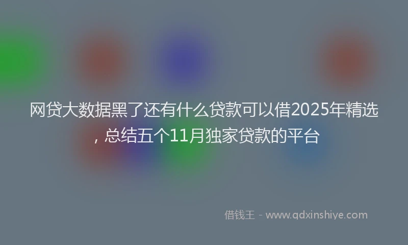 网贷大数据黑了还有什么贷款可以借2025年精选，总结五个11月独家贷款的平台