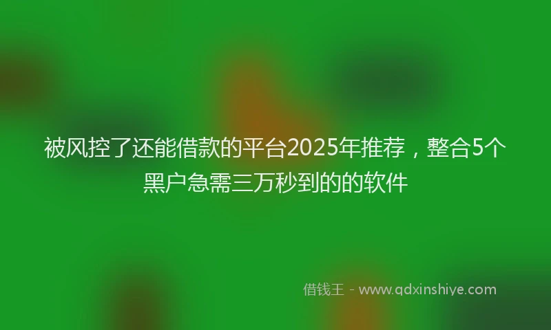 被风控了还能借款的平台2025年推荐，整合5个黑户急需三万秒到的的软件