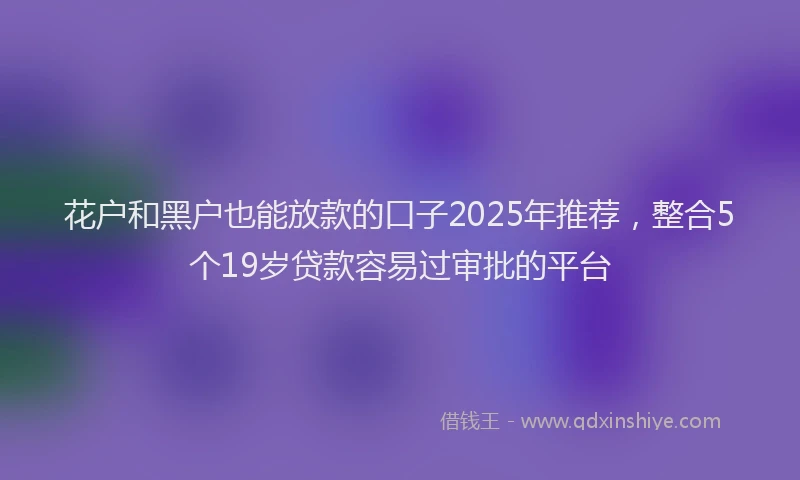 花户和黑户也能放款的口子2025年推荐，整合5个19岁贷款容易过审批的平台