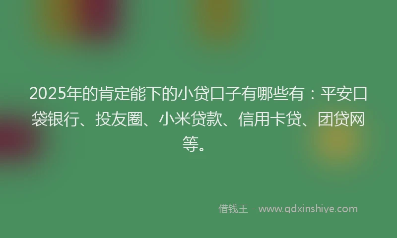2025年的肯定能下的小贷口子有哪些有：平安口袋银行、投友圈、小米贷款、信用卡贷、团贷网等。
