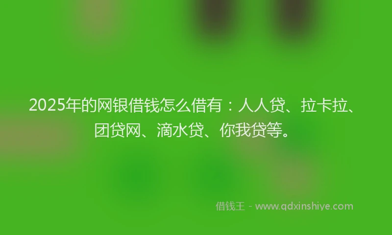 2025年的网银借钱怎么借有：人人贷、拉卡拉、团贷网、滴水贷、你我贷等。