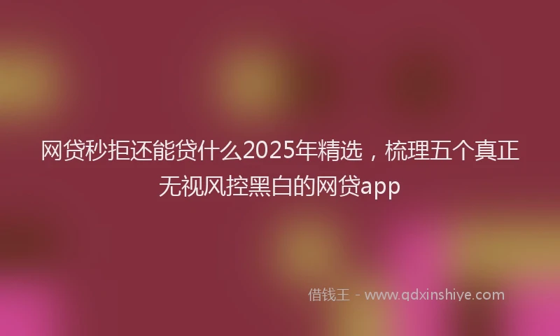 网贷秒拒还能贷什么2025年精选，梳理五个真正无视风控黑白的网贷app