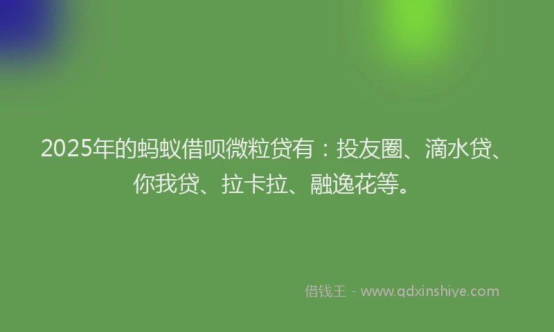 2025年的蚂蚁借呗微粒贷有：投友圈、滴水贷、你我贷、拉卡拉、融逸花等。