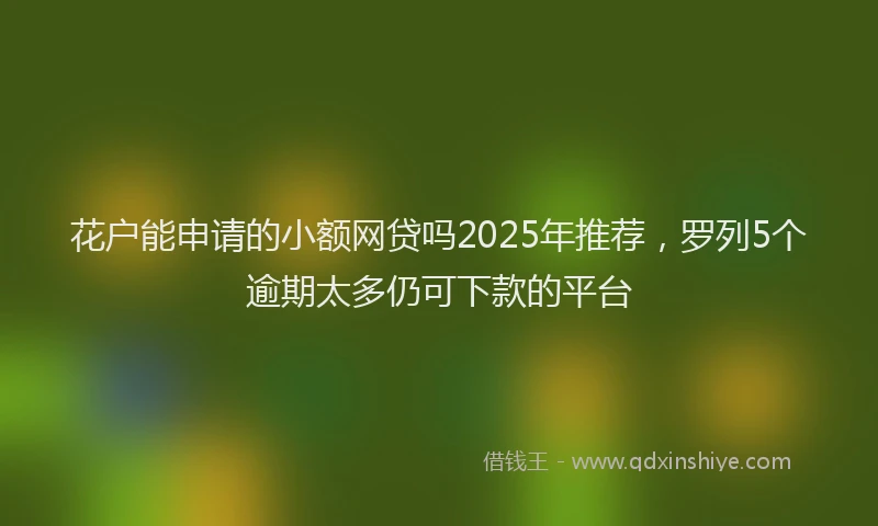 花户能申请的小额网贷吗2025年推荐，罗列5个逾期太多仍可下款的平台