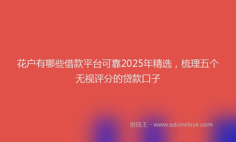 花户有哪些借款平台可靠2025年精选，梳理五个无视评分的贷款口子