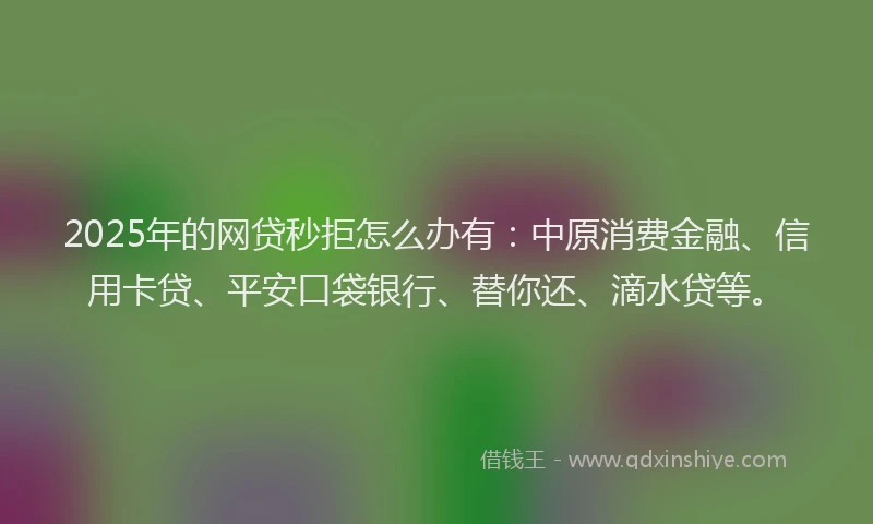 2025年的网贷秒拒怎么办有：中原消费金融、信用卡贷、平安口袋银行、替你还、滴水贷等。