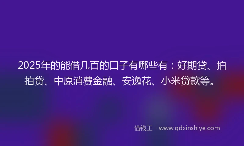 2025年的能借几百的口子有哪些有：好期贷、拍拍贷、中原消费金融、安逸花、小米贷款等。