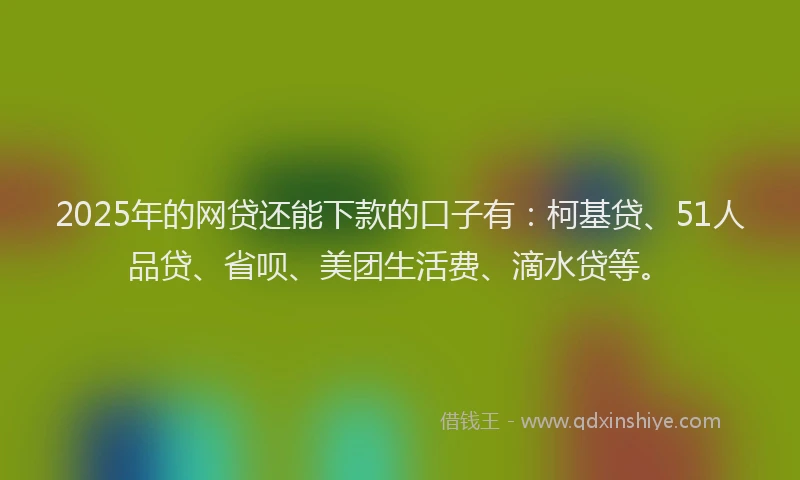 2025年的网贷还能下款的口子有：柯基贷、51人品贷、省呗、美团生活费、滴水贷等。