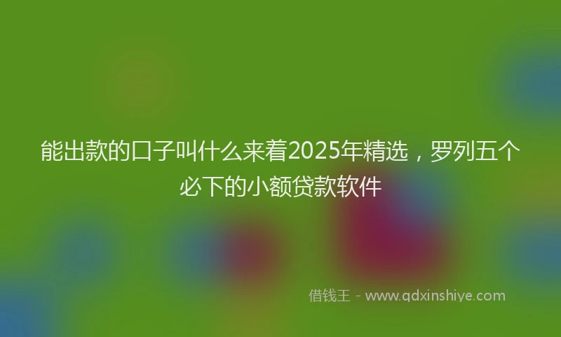 能出款的口子叫什么来着2025年精选，罗列五个必下的小额贷款软件