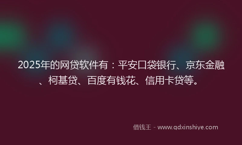 2025年的网贷软件有：平安口袋银行、京东金融、柯基贷、百度有钱花、信用卡贷等。