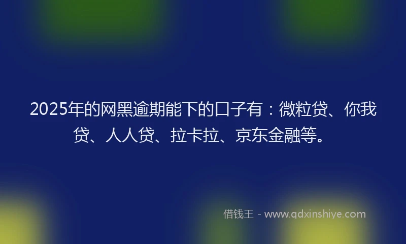 2025年的网黑逾期能下的口子有：微粒贷、你我贷、人人贷、拉卡拉、京东金融等。