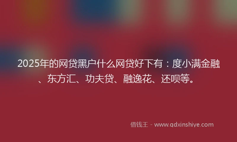 2025年的网贷黑户什么网贷好下有：度小满金融、东方汇、功夫贷、融逸花、还呗等。
