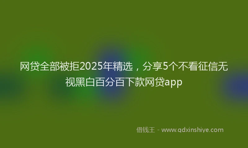 网贷全部被拒2025年精选，分享5个不看征信无视黑白百分百下款网贷app