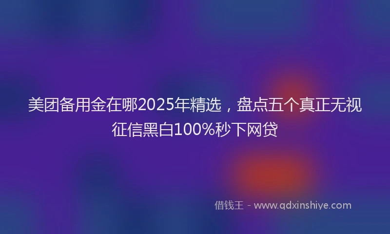 美团备用金在哪2025年精选，盘点五个真正无视征信黑白100%秒下网贷