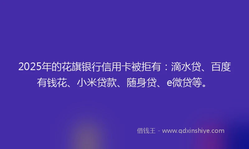 2025年的花旗银行信用卡被拒有：滴水贷、百度有钱花、小米贷款、随身贷、e微贷等。