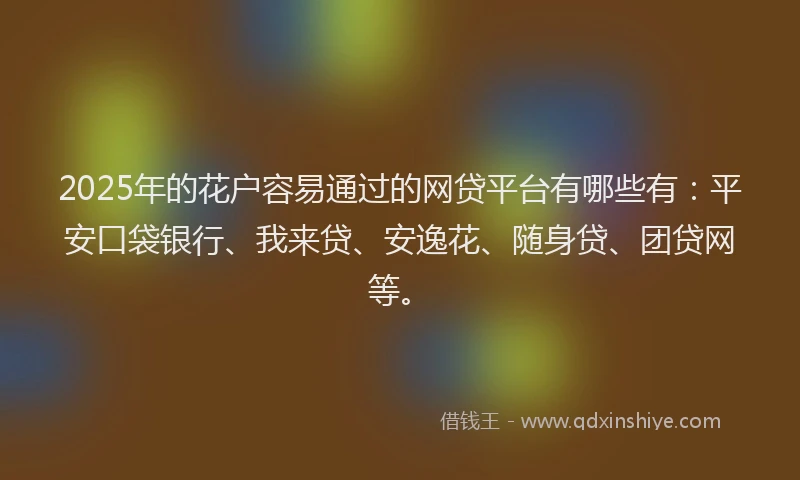 2025年的花户容易通过的网贷平台有哪些有：平安口袋银行、我来贷、安逸花、随身贷、团贷网等。