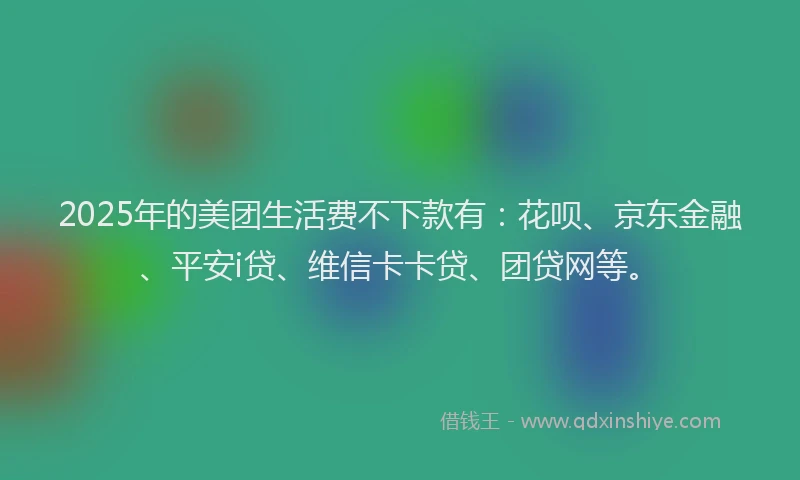 2025年的美团生活费不下款有：花呗、京东金融、平安i贷、维信卡卡贷、团贷网等。