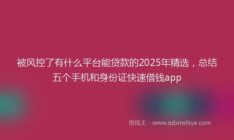 被风控了有什么平台能贷款的2025年精选，总结五个手机和身份证快速借钱app