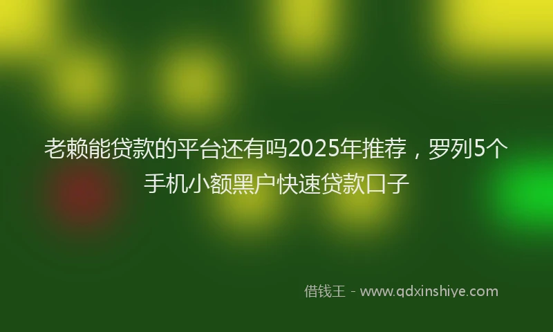 老赖能贷款的平台还有吗2025年推荐，罗列5个手机小额黑户快速贷款口子