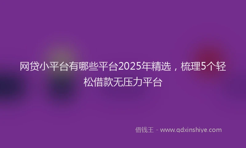 网贷小平台有哪些平台2025年精选，梳理5个轻松借款无压力平台