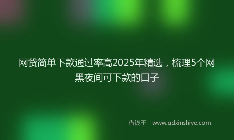 网贷简单下款通过率高2025年精选，梳理5个网黑夜间可下款的口子