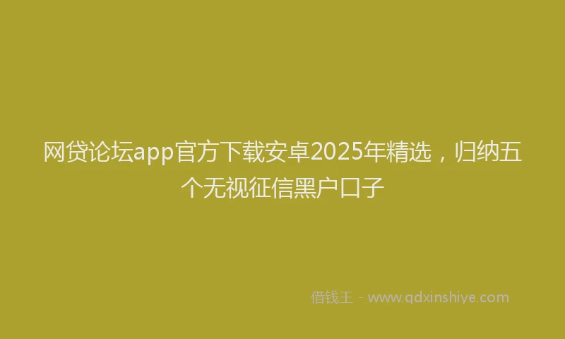 网贷论坛app官方下载安卓2025年精选，归纳五个无视征信黑户口子