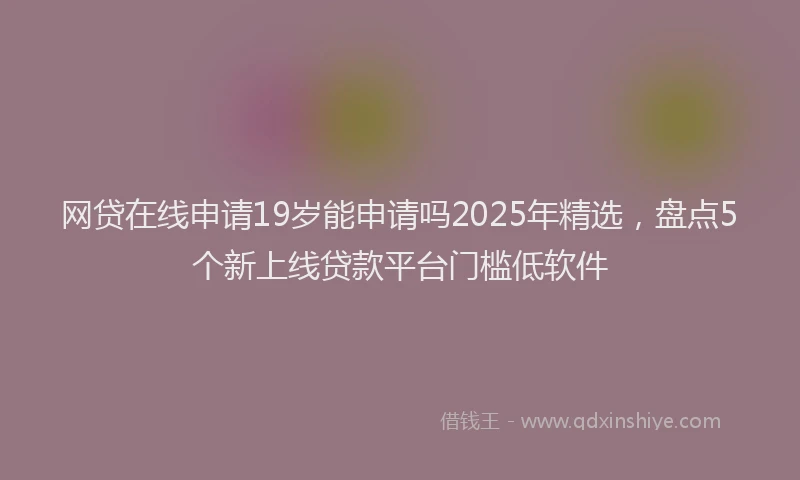 网贷在线申请19岁能申请吗2025年精选，盘点5个新上线贷款平台门槛低软件