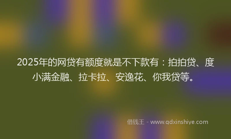 2025年的网贷有额度就是不下款有：拍拍贷、度小满金融、拉卡拉、安逸花、你我贷等。