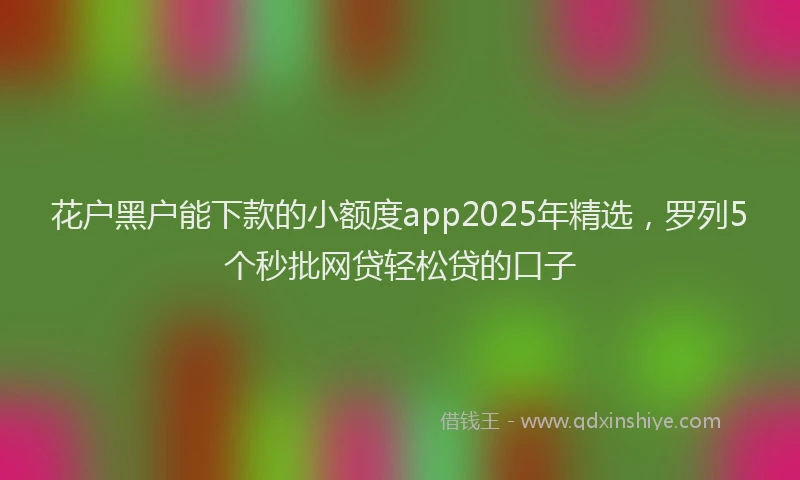 花户黑户能下款的小额度app2025年精选，罗列5个秒批网贷轻松贷的口子
