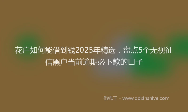 花户如何能借到钱2025年精选，盘点5个无视征信黑户当前逾期必下款的口子