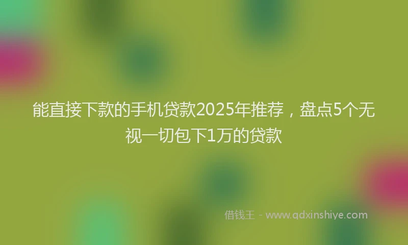 能直接下款的手机贷款2025年推荐，盘点5个无视一切包下1万的贷款