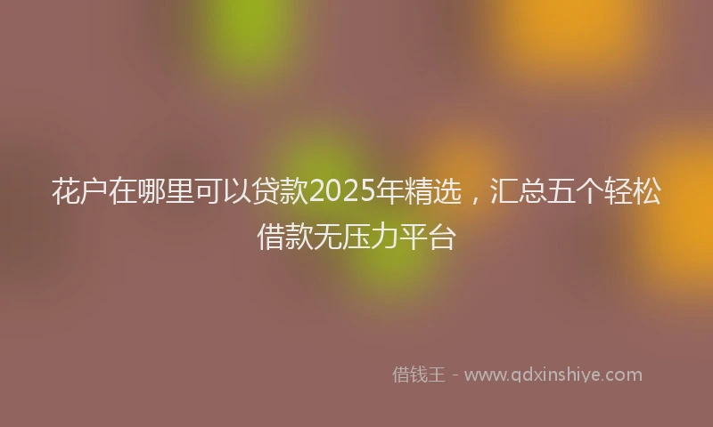 花户在哪里可以贷款2025年精选，汇总五个轻松借款无压力平台