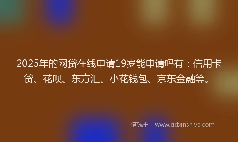 2025年的网贷在线申请19岁能申请吗有：信用卡贷、花呗、东方汇、小花钱包、京东金融等。