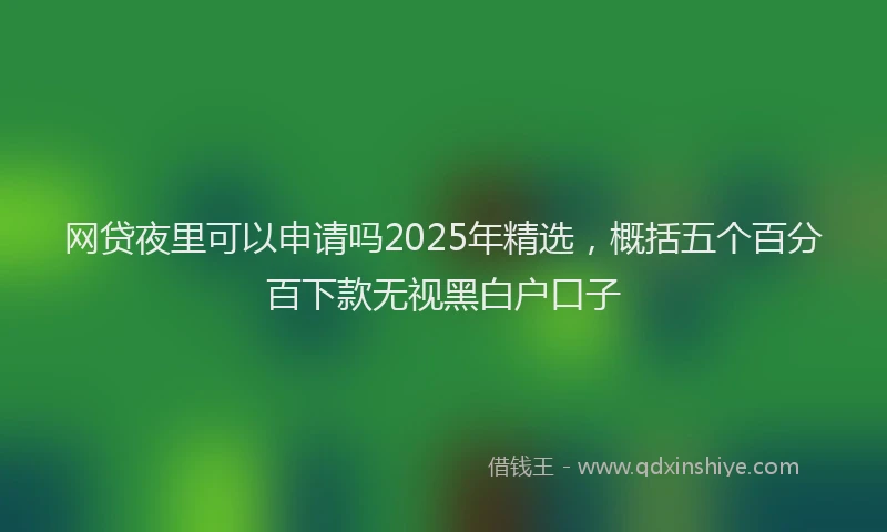 网贷夜里可以申请吗2025年精选，概括五个百分百下款无视黑白户口子