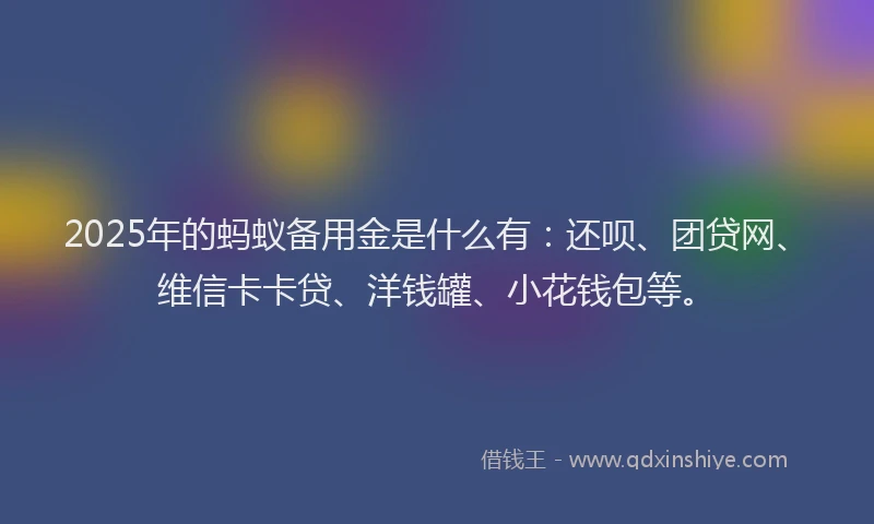 2025年的蚂蚁备用金是什么有：还呗、团贷网、维信卡卡贷、洋钱罐、小花钱包等。