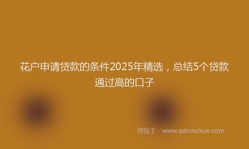 花户申请贷款的条件2025年精选，总结5个贷款通过高的口子