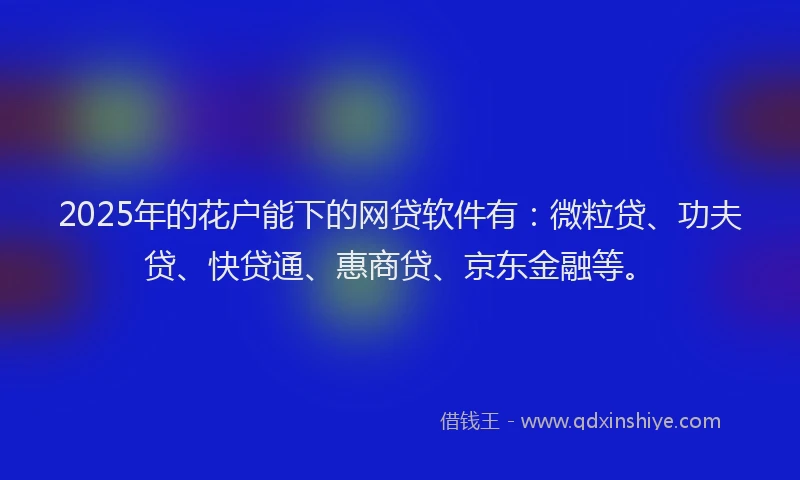 2025年的花户能下的网贷软件有：微粒贷、功夫贷、快贷通、惠商贷、京东金融等。