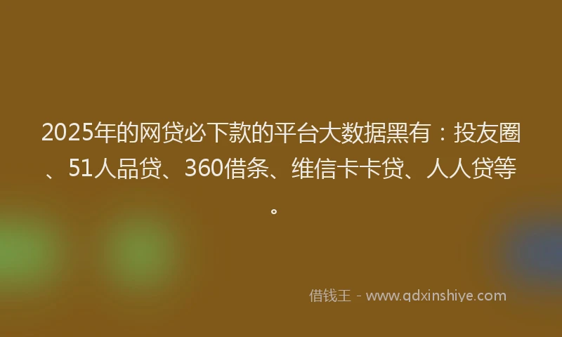 2025年的网贷必下款的平台大数据黑有：投友圈、51人品贷、360借条、维信卡卡贷、人人贷等。