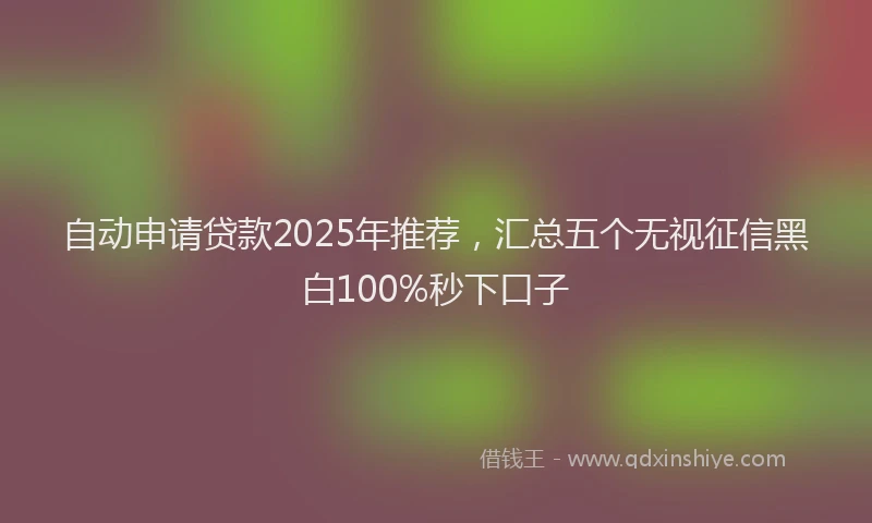 自动申请贷款2025年推荐，汇总五个无视征信黑白100%秒下口子