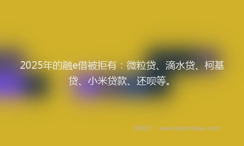 2025年的融e借被拒有：微粒贷、滴水贷、柯基贷、小米贷款、还呗等。