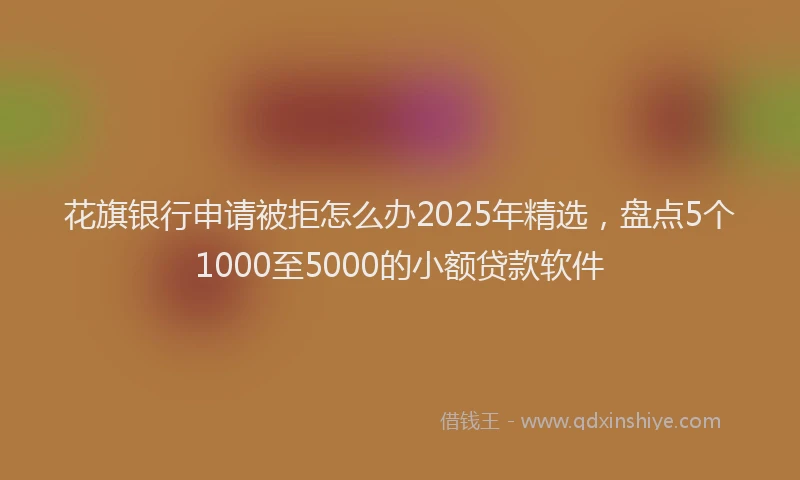 花旗银行申请被拒怎么办2025年精选，盘点5个1000至5000的小额贷款软件